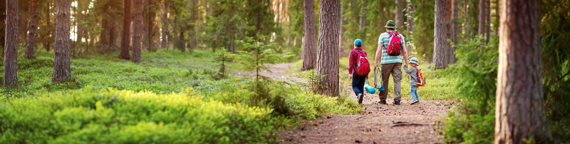 Family Hiking Through Woods in the Afternoon